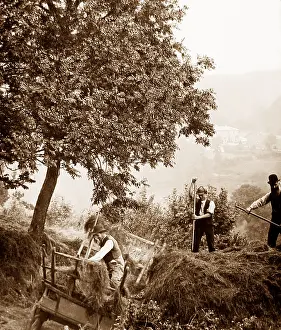 Branscombe: Branscombe probably taken in 1888