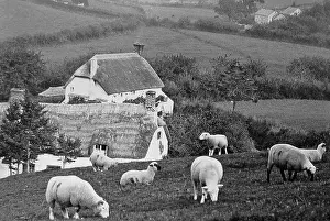 Branscombe: Branscombe probably taken in 1888