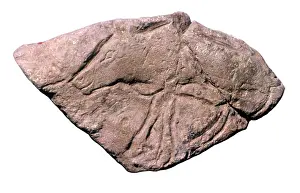 Antler: Brassempouy Engraved Antler