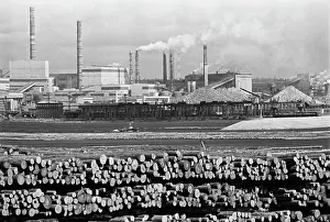 Bryukhanenko: Bratsk Timber Processing Complex