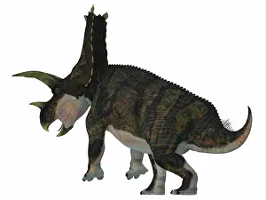 Ceratopsian: Bravoceratops dinosaur on white background