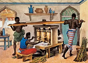 Refine: Brazil (19th c