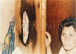 Poltergeists: BRAZIL / SUZANO BURN