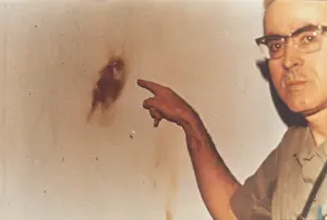 Poltergeists: BRAZIL / SUZANO MARK