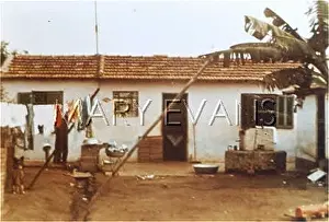 Poltergeists: BRAZIL / SUZANO SITE