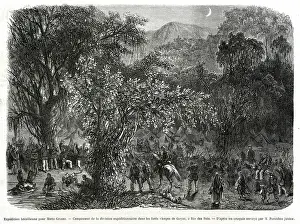 Paraguayan: Brazilian expedition in the Forests of Goias