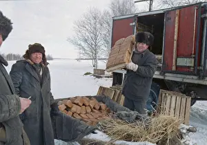Bring: Bread Cross-road