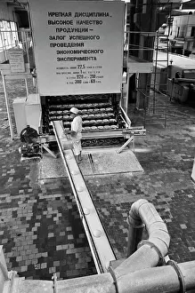 Slogan: Bread factory