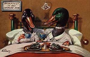 Ellam: Breakfast in bed