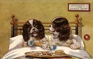 Delighted: Breakfast in Bed
