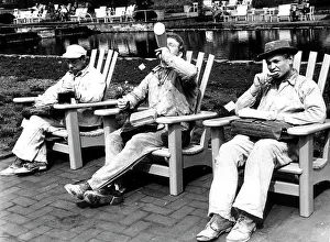 Abeurophoto: Breakfast break in the sun