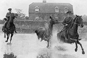 Colts: Breaking in colts for the Army, WW1