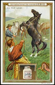 Lasso: BREAKING IN HORSES