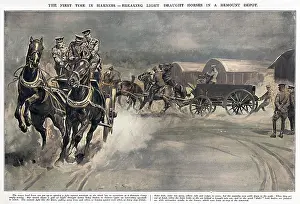 Haulage: Breaking light draught horses at Army Remount Depot, WW1