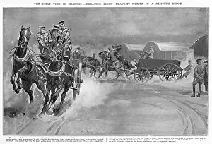 Haulage: Breaking light draught horses at Army Remount Depot, WW1