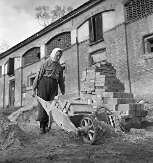 Cowshed: Back breaking work