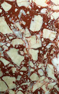 Metamorphic: Breccia Coralina Rosa, marble
