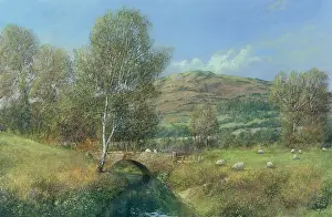 Brecon: Brecon Beacons – with bridge & sheep