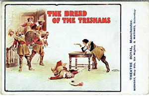 Brandishing: The Breed of the Treshams by John Rutherford