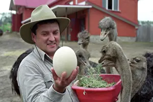 Morev: Breeding of ostriches, 2001