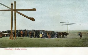 Stud: Breeding stud for horses, Hortobagy, Hungary