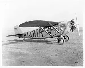 Dole: Breese 5 - NC914 - Aloha