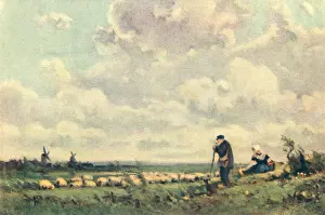 Sherpherd: A Breezy Day