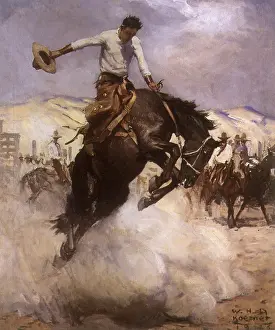 Bronco: Breezy Riding