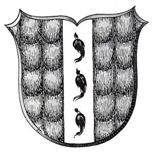 Stoat: Bregenz, Coat of arms