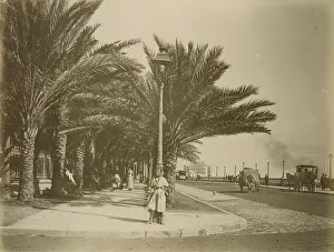 Tanger: Brenon Square. Algiers. Algeria. Journey to