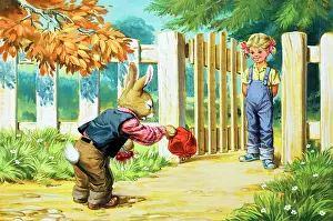 Dungarees: Brer Rabbit