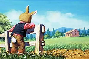 Brer: Brer Rabbit