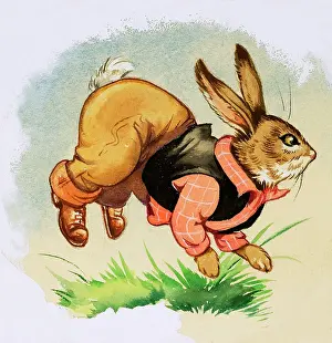 Brer: Brer Rabbit