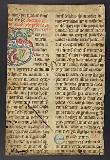 Embellished: Breviary (Fragment)