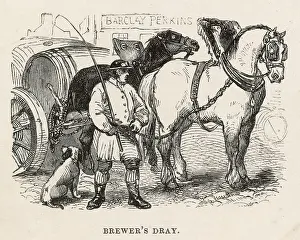 Dray: A BREWER'S DRAY