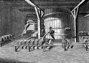 Brasserie: Brewery for the beer industry
