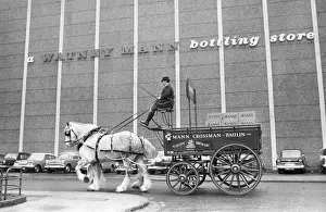 Drayman: BREWERY HORSE & CART