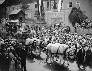 Goss: Brewery wagon during a procession in