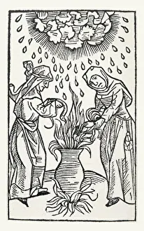 Brew: Brewing a Potion