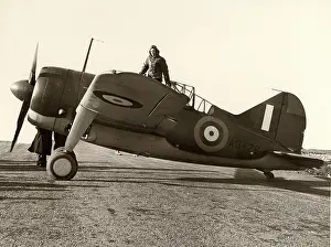 Brewster: Brewster Buffalo I AS426