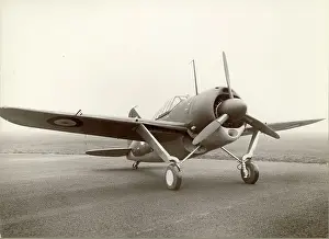 Brewster: Brewster Buffalo I AS426