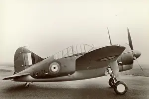 Brewster: Brewster Buffalo I AS426