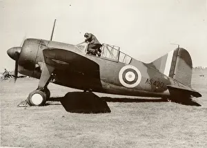 Brewster: Brewster Buffalo I AS430