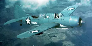 Brewster: Brewster SB2A-4 Buccaneer of VS-5, Vero Beach, Florida