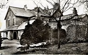 Briar: Briar Field, Arnside, Lancashire