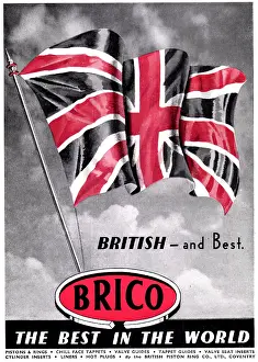 Brico: Brico Piston Rings