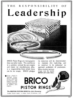Brico: Brico Piston Rings