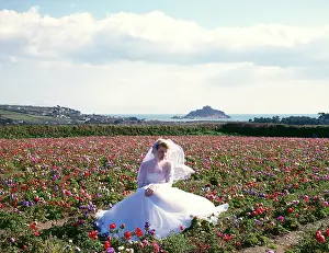 Marazion: Bride, anemones, St Michael's Mount, Marazion, Cornwall