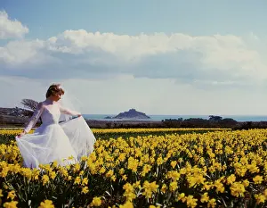 Marazion: Bride in daffodil field, St Michael's Mount, Cornwall