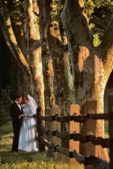 Solidity: Bride and Groom Outdoors